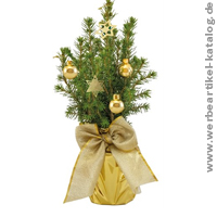 Zuckerhutfichte - Weihnachtsbaum an Kunden verschenken!